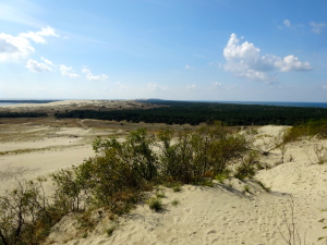 Nida sand dunes