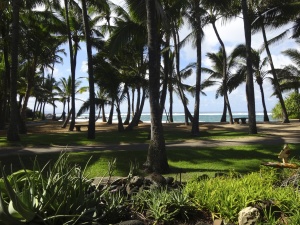 View from Mama's at lunch.