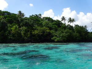 Snorkel site on Huahine