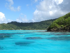 Snorkel site with many sharks