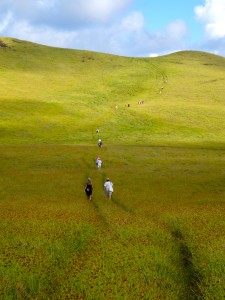 Trekking up to the summit of Trevaka Mountain. Approx 2,000 feet above the ocean.