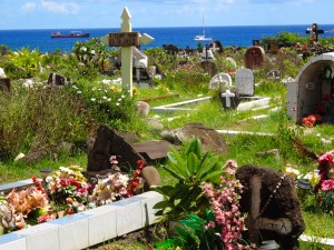 Seaside boneyard.  Very floral.