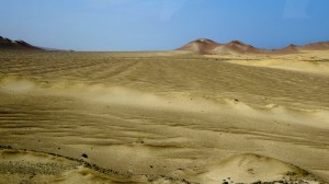 This is the surrounding desert.  Not a living thing (plant, insect, lizard) for many many miles.  This desert is several miles from the Candelabra.