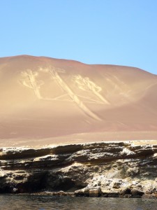 The "Candelabra of the Andes" closer up.