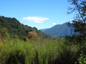 Valley through which we rafted the Petrohue.