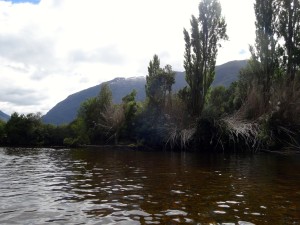 Another shot from my kayak and one of the riverbanks.