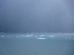 Floating glacial ice which has calved from the retreating glaciers.  Notice the distinct blue hue.