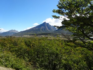 A view from the top