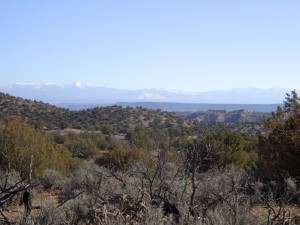 This is a view from a hike a took.  No snakes today.