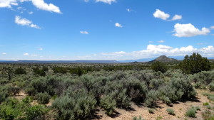 Not much out here but Ojo Caliente.  