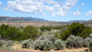 Area surrounding Ojo Caliente.