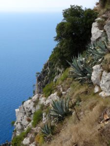 The drop to the sea below was about 1,850 feet.